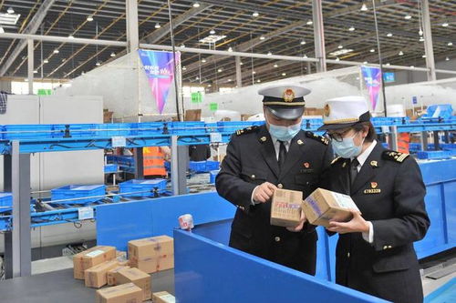 武漢海關持續(xù)加強進口商品風險監(jiān)測切實維護消費者權(quán)益